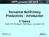 Terrestrial Net Primary Productivity - introduction