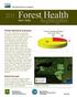 Forest Health. highlights NEW YORK. Forest Resource Summary. Aerial Surveys. Forest Land Ownership in New York, 2012