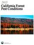 California Forest Pest Conditions