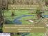 Natural and Engineered Wetlands for Stormwater Management