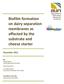 Biofilm formation on dairy separation membranes as affected by the substrate and cheese starter