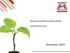 Global and Brazilian Fertilizer Market. Company Overview. November, 2010