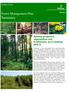 Forest Management Plan Summary