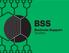 BSS. Business Support System
