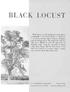 BLACK LOCUST (Robinia pseudoacacia L.)