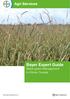 Bayer Expert Guide Black-grass Management in Winter Cereals