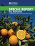 SPECIAL REPORT. ifas responds. to challenge and change in the florida citrus industry