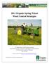 2011 Organic Spring Wheat Weed Control Strategies