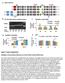 Figure 1-Figure Supplement 1 Validation of knockdown efficiency for trpa1 RNAi and RyR RNAi lines.