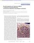 Borrelia burgdorferi and Treponema pallidum: a comparison of functional genomics, environmental adaptations, and pathogenic mechanisms