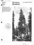 Hemlock. Western. (_o 'EQ. An American Wood. 42j. LI4Gua. A ithià '--ìjc2'j. Forest Service FS-240 ) '4