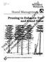 Stand Management. Pruning to Enhance Tree and Stand Value