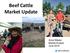 Beef Cattle Market Update