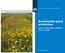 Sustainable plant protection. Dutch sustainable initiative and activities