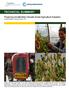 Financing Smallholder Climate-Smart Agriculture Adoption by Rishi Basak. Working Paper, 2017