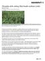 Dicamba drift cutting Mid-South soybean yields Delta Farm Press Tom Barber, Arkansas Extension Weed Scientist Jul 14, 2016