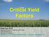 Critical Yield Factors