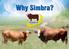 Why Simbra? Dr. Johan Kluyts, President Simmentaler/Simbra Cattle Breeders Society