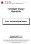 Torchlight Energy Operating