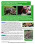 Description. BC s Coast Region: Species & Ecosystems of Conservation Concern 1. 1 See Oregon Spotted Frog factsheet.