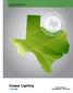 Luminaire & Controls Selection Guide T E X A S I N A U S I N C E N T V E S. Austin Energy s POWER$AVER TM PROGRAM