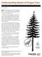 Why do we call white fir a true fir? Is Douglas-fir
