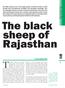 The black sheep of Rajasthan