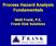 Process Hazard Analysis Fundamentals. Walt Frank, P.E. Frank Risk Solutions F R A N K R I S K S O L U T I O N S