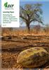 Learning Paper. Maximising the Impact of Outgrower Schemes: Opportunities, Challenges, and Lessons from the AECF. April 2017