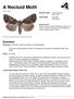 A Noctuid Moth. Summary. Protection Not listed in New York State, not listed federally.