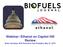 Webinar: Ethanol on Capitol Hill Review Brian Jennings, ACE Executive Vice President, May 27, 2010