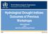 Hydrological Drought Indices: Outcomes of Previous Workshops