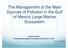 The Management of the Main Sources of Pollution in the Gulf of Mexico Large Marine Ecosystem