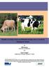 Benefit Cost Study of Increased Holstein-Friesian Jersey Crossbred Dairying in Victoria