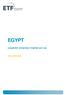 EGYPT COUNTRY STRATEGY PAPER UPDATES