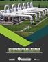 Underground Gas Storage Regulatory Considerations