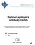 Canine Leptospira Antibody ELISA