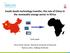 South-South technology transfer: the role of China in the renewable energy sector in Africa