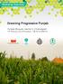 Greening Progressive Punjab