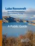 Lake Roosevelt Remedial Investigation and Feasibility Study. A Public Guide