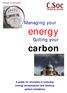 Diocese of Chichester. Managing your energy. Cutting your. carbon. A guide for churches in reducing energy consumption and limiting carbon emissions