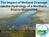The Impact of Wetland Drainage on the Hydrology of a Northern Prairie Watershed
