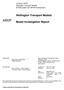 Wellington Transport Models. Model Investigation Report
