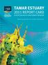 TAMAR ESTUARY 2011 REPORT CARD ECOSYSTEM HEALTH ASSESSMENT PROGRAM. Working together for healthy waterways