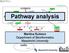 Pathway analysis. Martina Kutmon Department of Bioinformatics Maastricht University