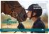 THE LEADING UK EQUESTRIAN SEARCH ENGINE MEDIA PACK 2018 FOR ADVERTISING ENQUIRIES PLEASE CONTACT