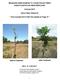 MANAGING DEER DAMAGE TO YOUNG PECAN TREES USING PLANTSKYDD DEER REPELLENT. Summer 2013 FIELD TRIAL RESULTS