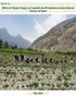 Report on: Effect of Climate Change on Vegetable Seed Production in Some Selected Pockets of Nepal