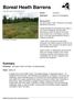 Boreal Heath Barrens. Summary. Protection Not listed in New York State, not listed federally. Rarity G3G4, S1