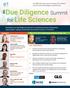 Due Diligence Summit